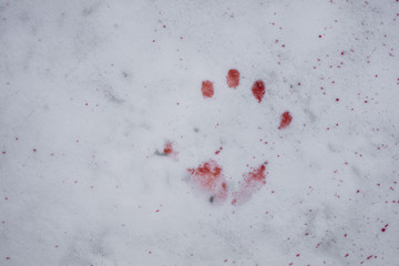 Bloody handprint on white snow in Finland.