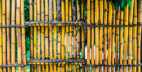 a bamboo fence