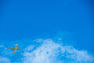 Fototapeta premium 飛行機 成田