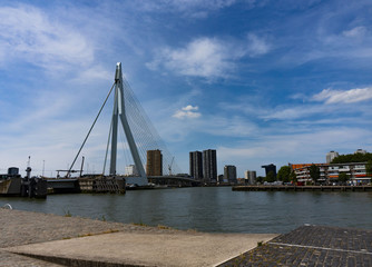 Obraz premium Skyline with Erasmus bridge in summer, Rotterdam