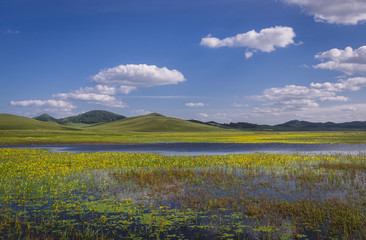 Bashang grassland