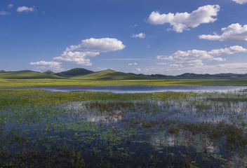 Bashang grassland