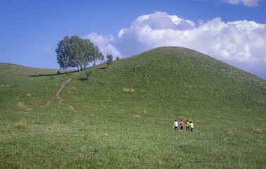 Bashang grassland