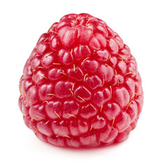 raspberries isolated on white