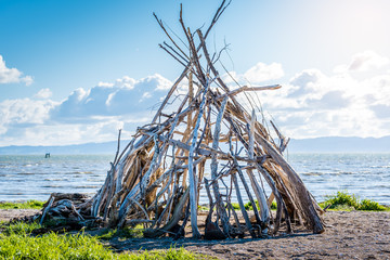 A driftwood tent photographed on the beach in Thames Coromandel