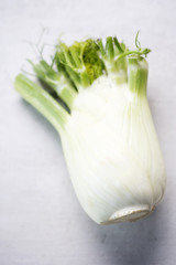 Fennel bulb on white background