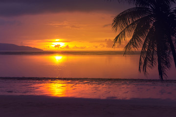 Naklejka na ściany i meble tropical palm tree sea and sunset