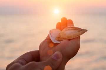seashell in hand on the background of the sea and the sunset sunlight relaxation concept