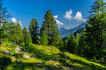 Beautiful view with glacier and mountains and nature at Nationalpark Hohe Tauern in Pinzgau in the Austrian Alps