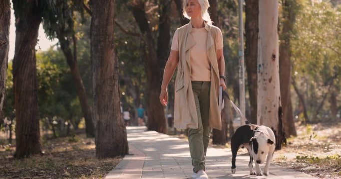 Mature female dog walker walking dog in the countryside