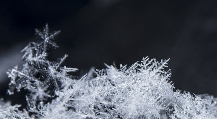 snowflake on snow, snow