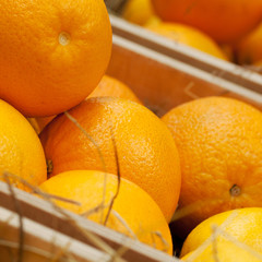 ripe oranges and grapefruits stacked in boxes and prepared for sale
