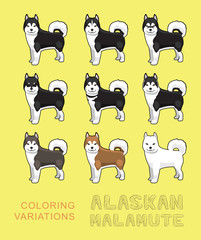 Dog Alaskan Malamute Coloring Variations Vector Illustration