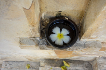 single jasmin flower in small basket with marble wall