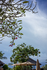 sun umbrellas with blue sky, holiday resort travel concept