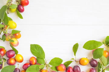 frame with fresh plums with leaves on white rustic wooden table. The concept of autumn harvest.