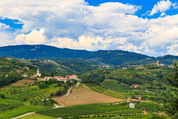 Fototapeta na wymiar Stormy day in the vineyards of Brda, Slovenia