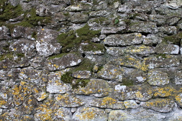 mur en pierre avec mousse et lichen