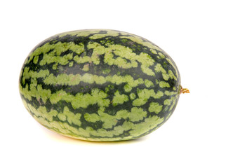 watermelon on white background