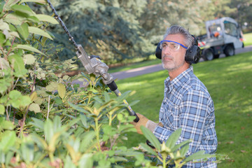 cutting the hedge