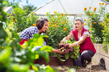 Young girl with mother working in vegetable garden