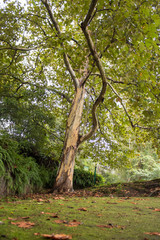 autumn is on its way