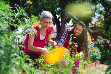 Mother and daughter working in the garden