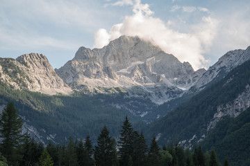 Obraz premium Triglav-Gipfel über bewaldetem Tal, Julische Alpen