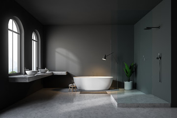 Naklejka na ściany i meble Arched windows gray bathroom interior