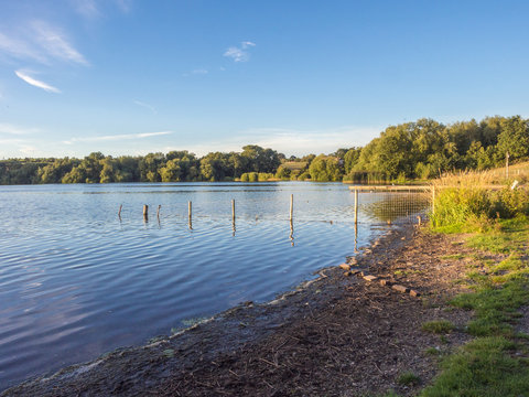 Beautiful golden light of sunset at Pickmere Lake, Pickmere, Northwich, Cheshire, UK