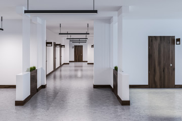 Long hotel or office corridor with many doors