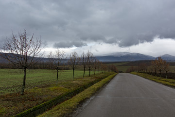 Autumn landscape with a road
