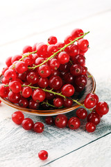 Fresh red currants on light rustic table. Healthy summer fruits