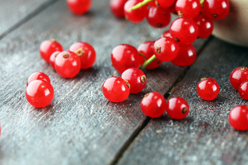 Fresh red currants on light rustic table. Healthy summer fruits