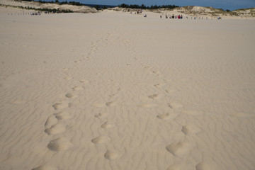 foot steps on the sand, desert in Poland, Leba