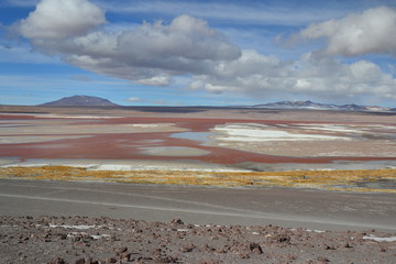 Fototapeta na wymiar Bolive laguna colorada