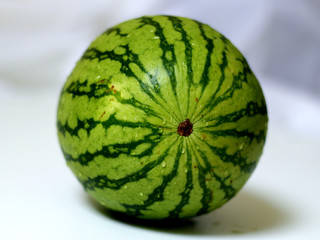Watermelon isolated shot on white background 4