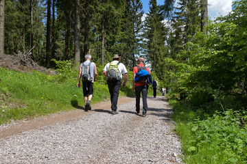 Wanderung zum Männertag im Thüringer Wald