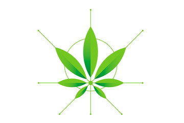 Cannabis marijuana hemp green leaf flat symbol or logo design. Cannabis green silhouette ecology logo. Hemp emblem for the logo design packaging of goods, food, for the creation of printed products.