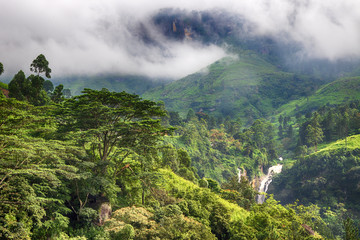 tropischer Regenwald mit Wasserfall