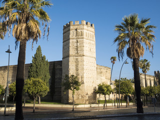 Octagonal tower of the Alcazar de Jerez