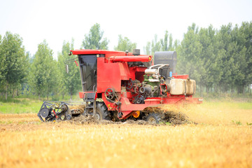 combine harvester working