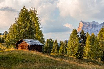Wooden shed on a green grass hill on the edge of the forest with mountain rising in the background