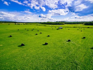Aerial view of round straw bales in black plastic in green field in rural Finland.