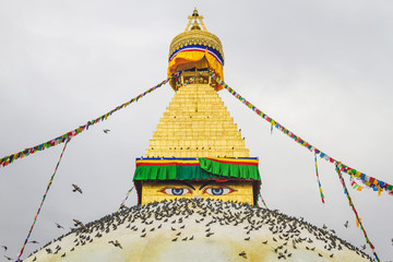 boudhanath Stupa with Prayer Flags and Pigeons in Kathmandu Nepa