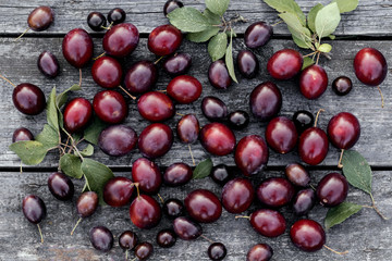 Fresh plums on wooden table background. Autumn harvest.