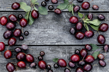 Fresh plums on wooden table background. Autumn harvest. Place for text.