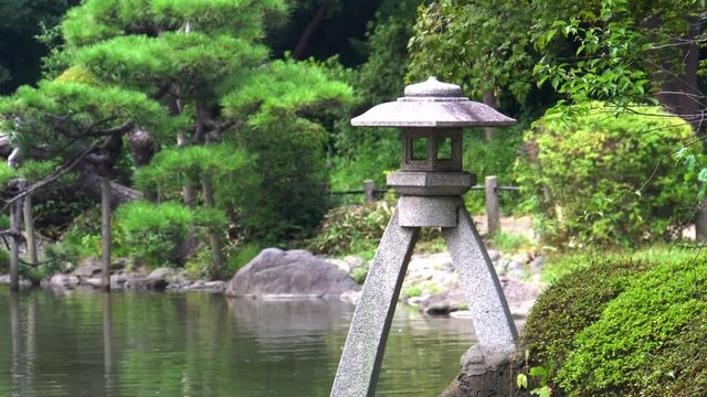 Pond in the Japanese garden - video 4K UHD