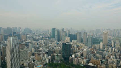 Tokyo / Tokio Stadtübersicht, Megametropole von oben