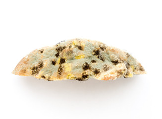 Moldy bread.